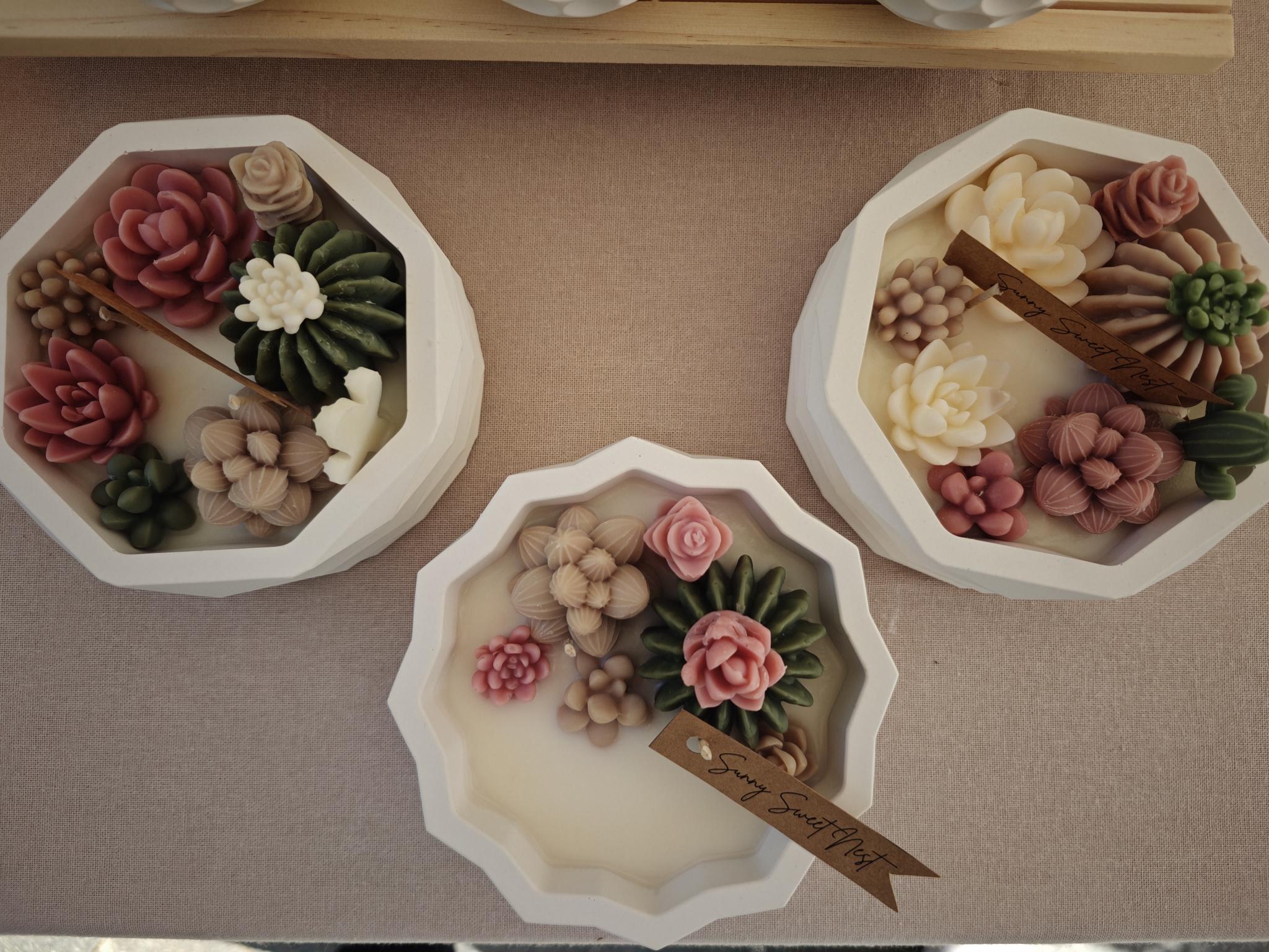collection cactus